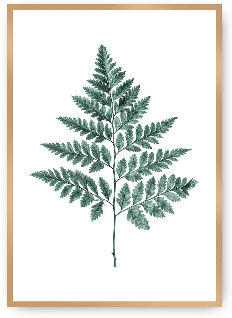 Plagát Fern 21 x 30 cm Emerald Green