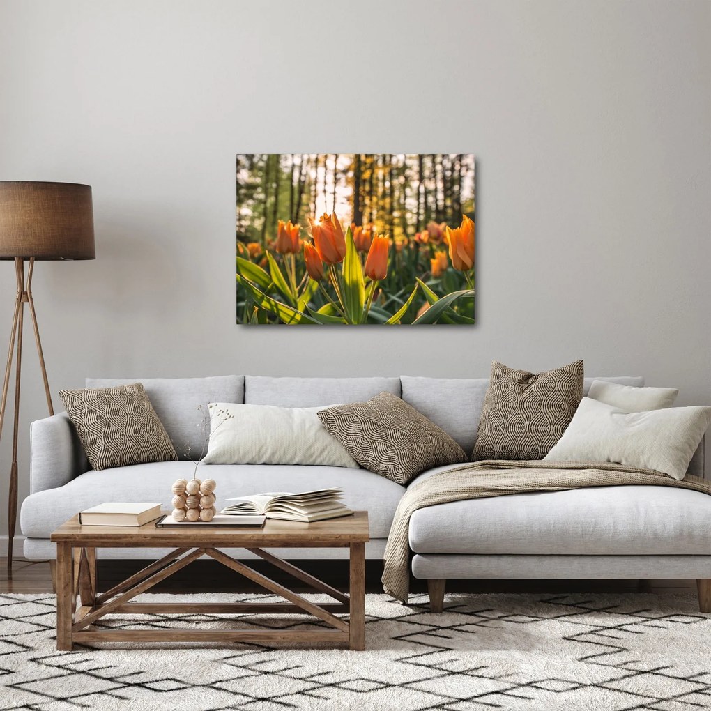 Obraz - oranžové tulipány (70x50 cm)