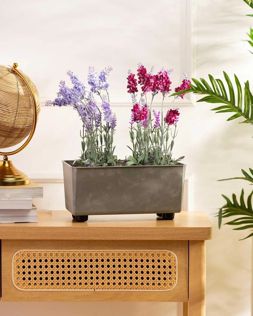 Truhlík s nožičkami Salvia 28,5x17 cm - výber z 9 prevedení