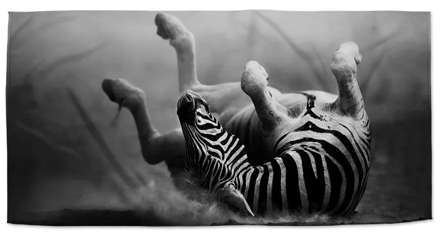 Sablio Uterák Váľajúca sa zebra - 30x50 cm