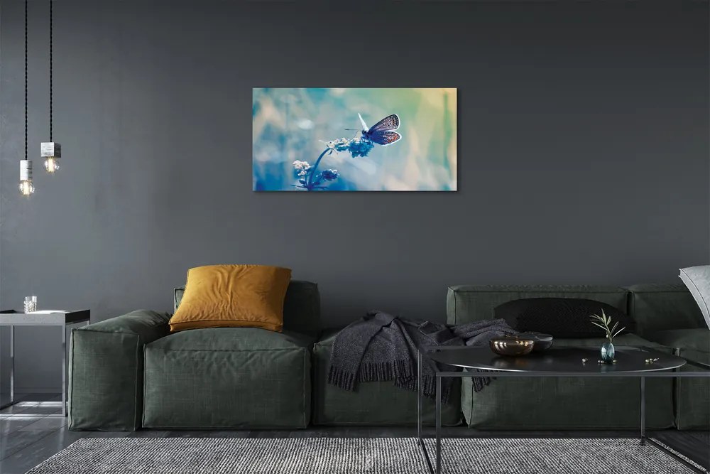 Obraz na plátne farebný motýľ 120x60 cm