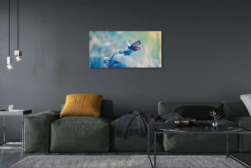 Obraz na plátne farebný motýľ 125x50 cm