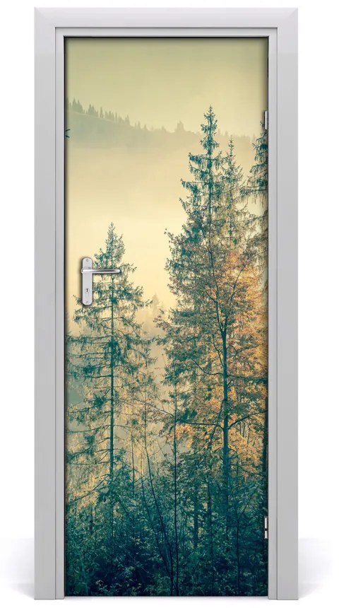 Fototapeta na dvere hmla nad lesom 85x205 cm