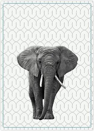 PRESENT TIME Sada 2 ks − Bavlnená utierka − slon 50 × 70 cm