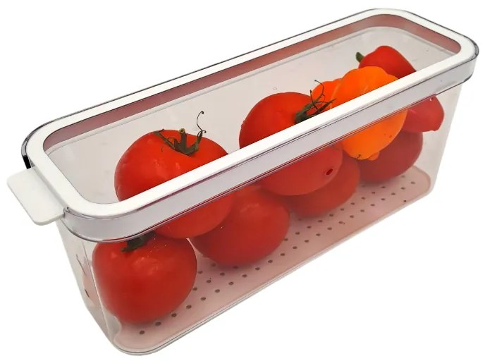 Rotho Organizér do chladničky, s vekom a špeciálnou podložkou 2l CAUMA