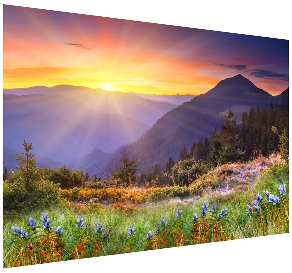 Gario Fototapeta Lúka v horách Materiál: Samolepiaca, Rozmery: 536 x 240 cm