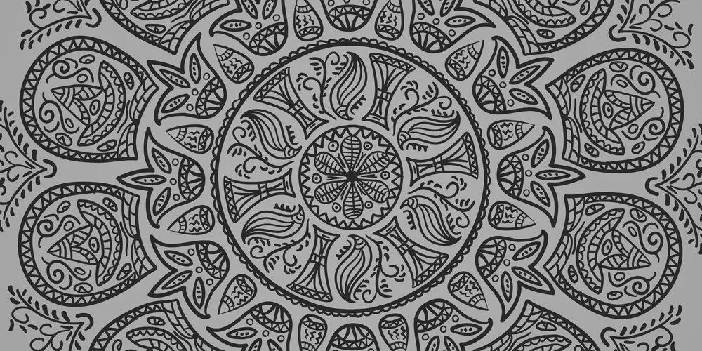 Obraz Mandala s abstraktným prírodným vzorom v čiernobielom prevedení