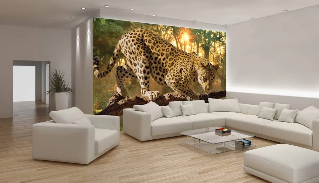 Fototapeta - Jaguar Forest Woods (152,5x104 cm)