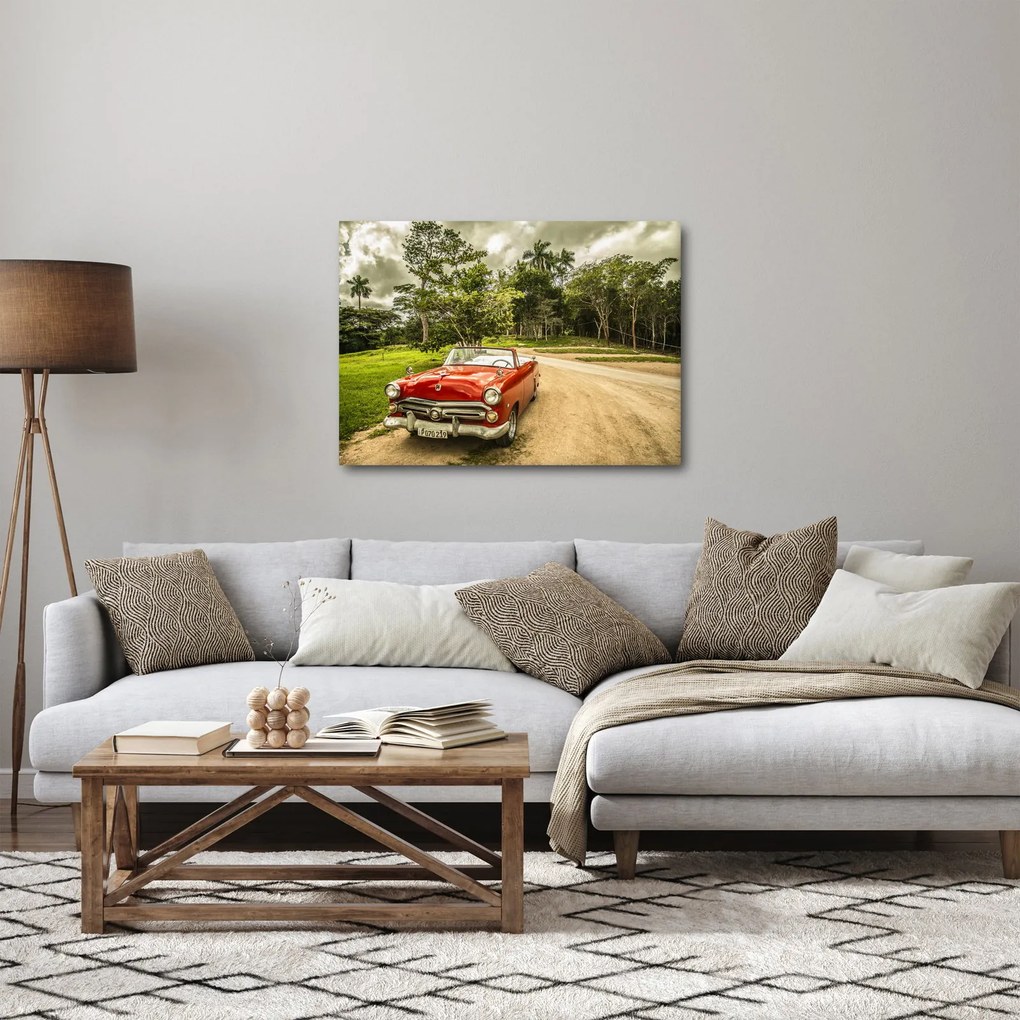 Obraz - auto veterán v prírode (70x50 cm)