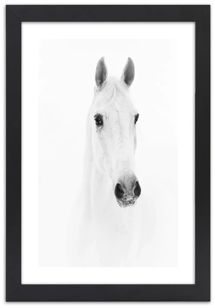 Gario Plagát Sivý kôň Farba rámu: Bez rámu, Rozmery: 70 x 100 cm