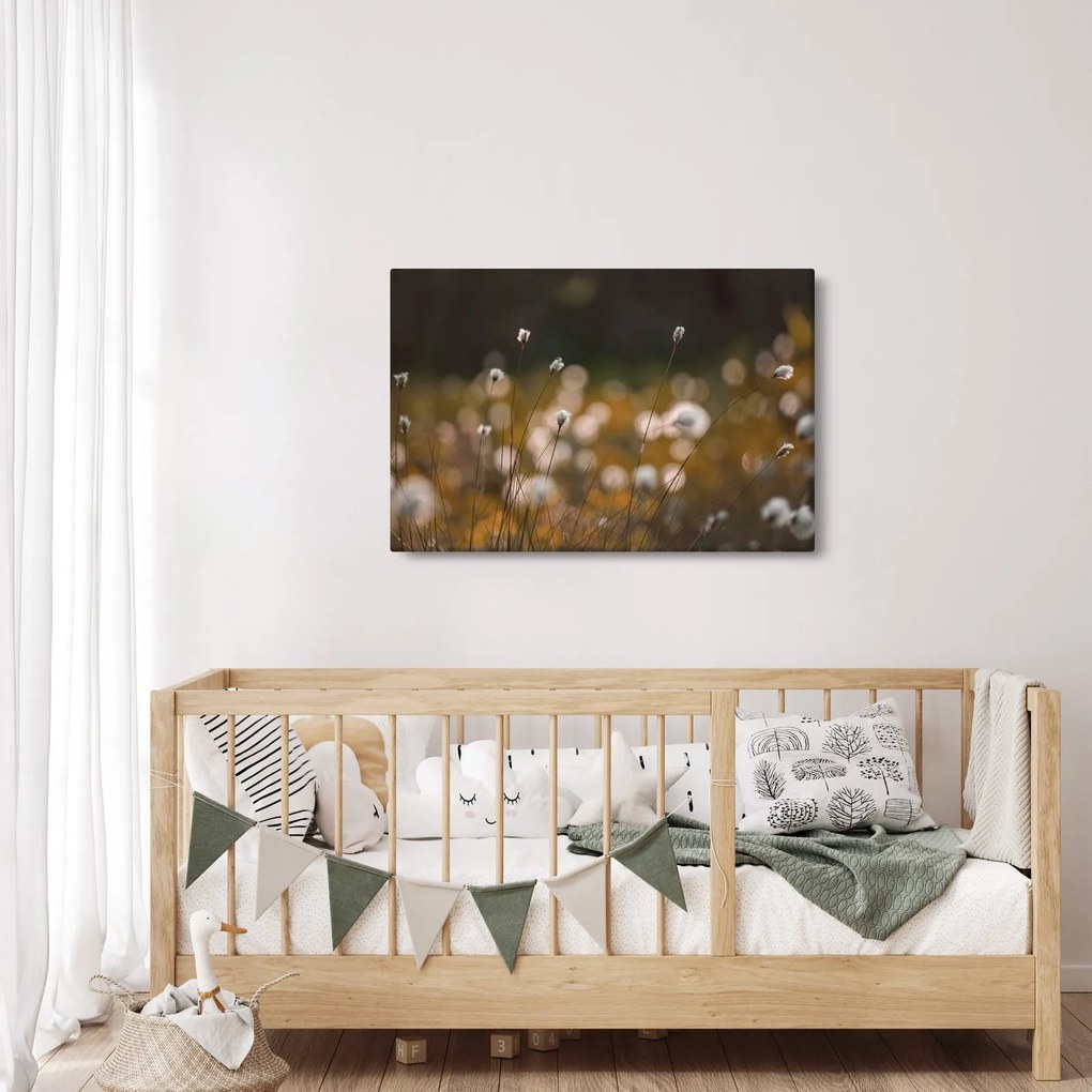 Obraz - Lúka s cottongrass N⁰2 (90x60 cm)