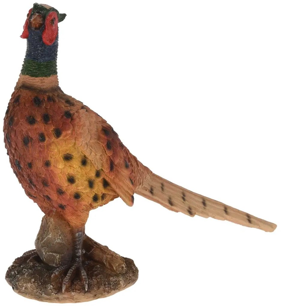 Záhradná figúrka z polyresínu Pheasant, 27,5 cm, viacfarebná