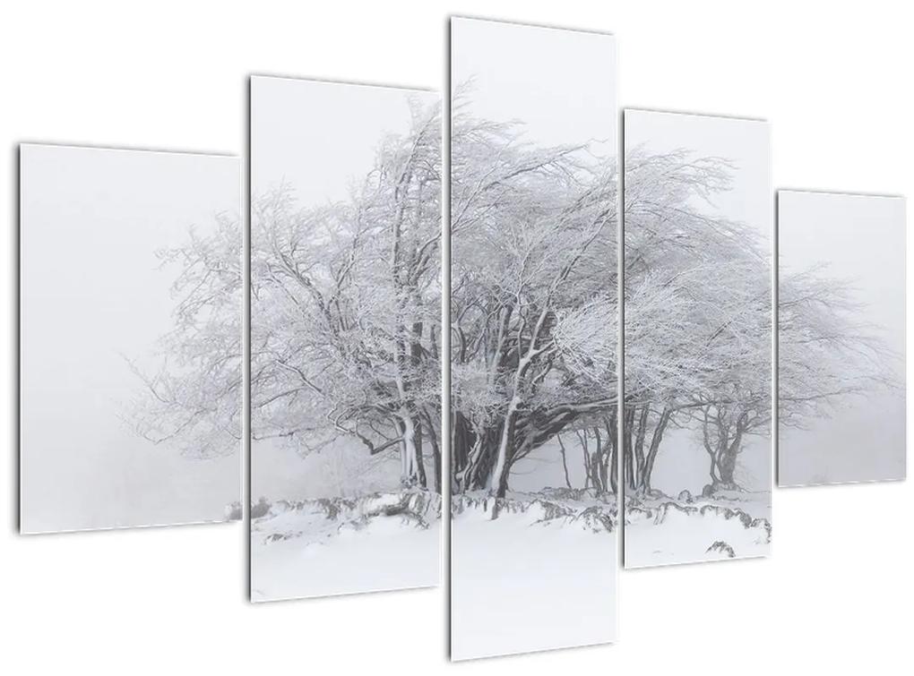 Obraz - Biela zima (150x105 cm)