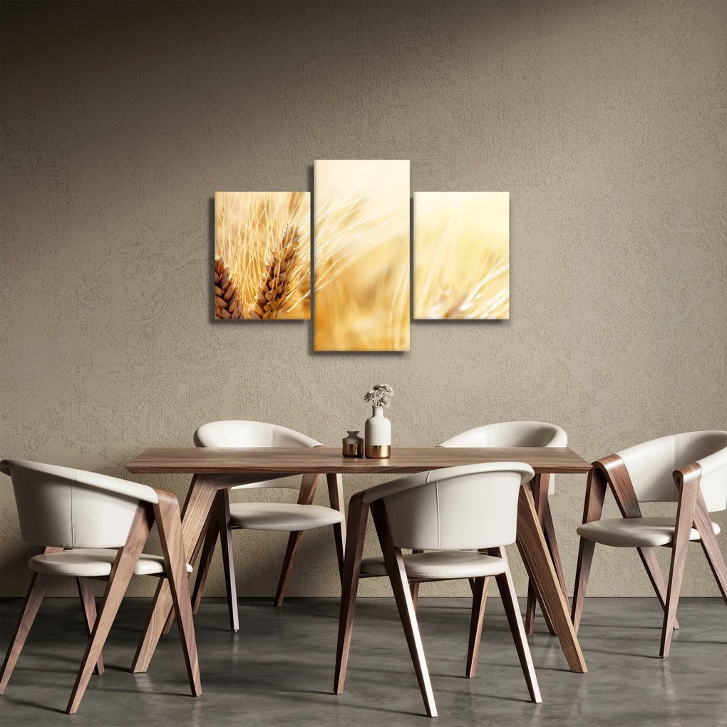 Obraz - detail obilia (90x60 cm)