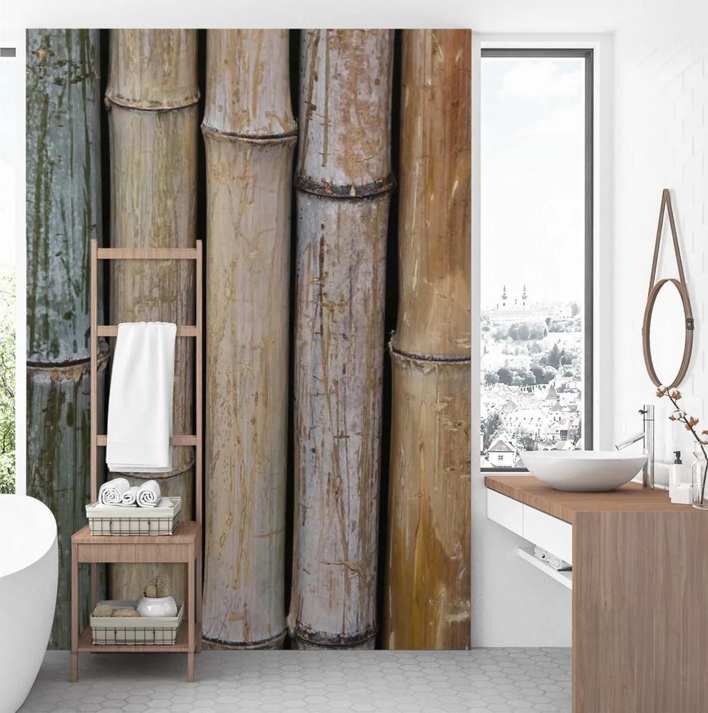 Fototapeta, Bambusová stěna Textura pozadí - 100x140 cm