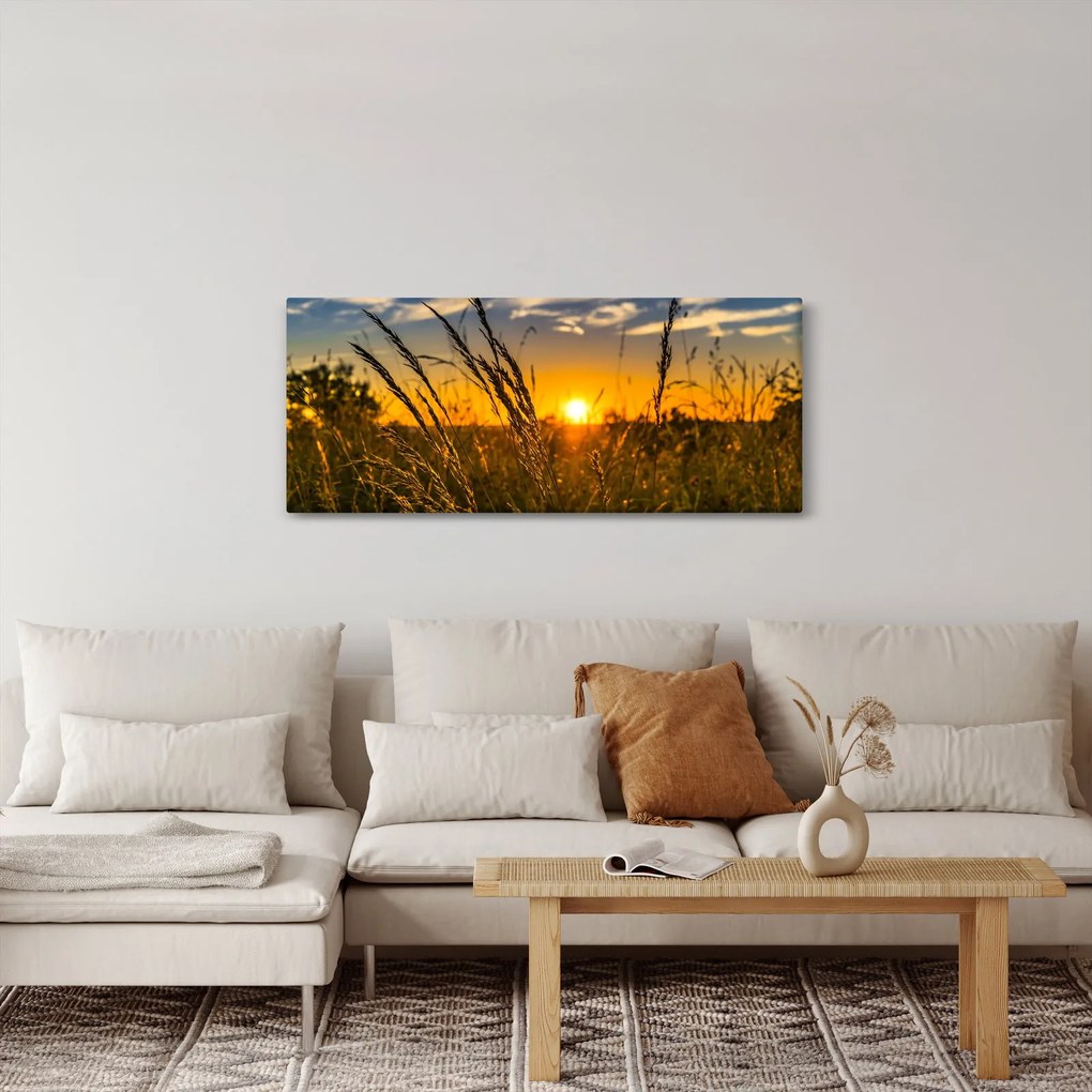 Obraz pole pri západe slnka (120x50 cm)