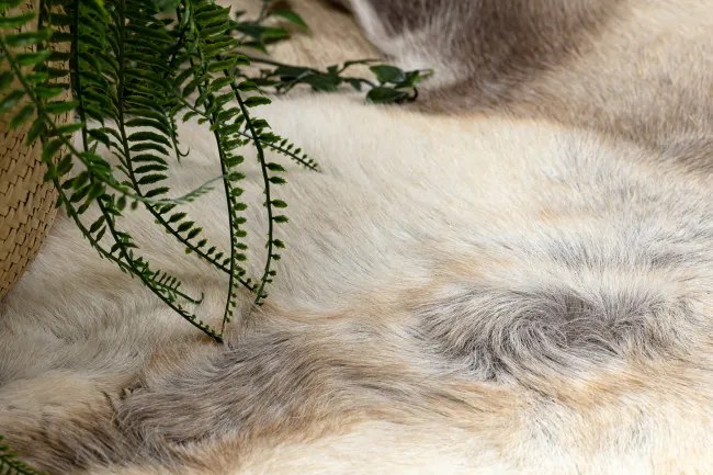 Koberec RENIFER POK008 hnedý / béžový