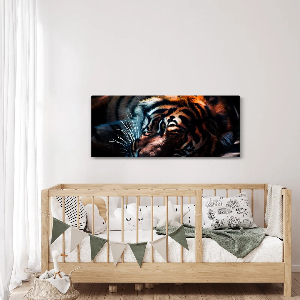 Obraz ležiaceho tigra (120x50 cm)