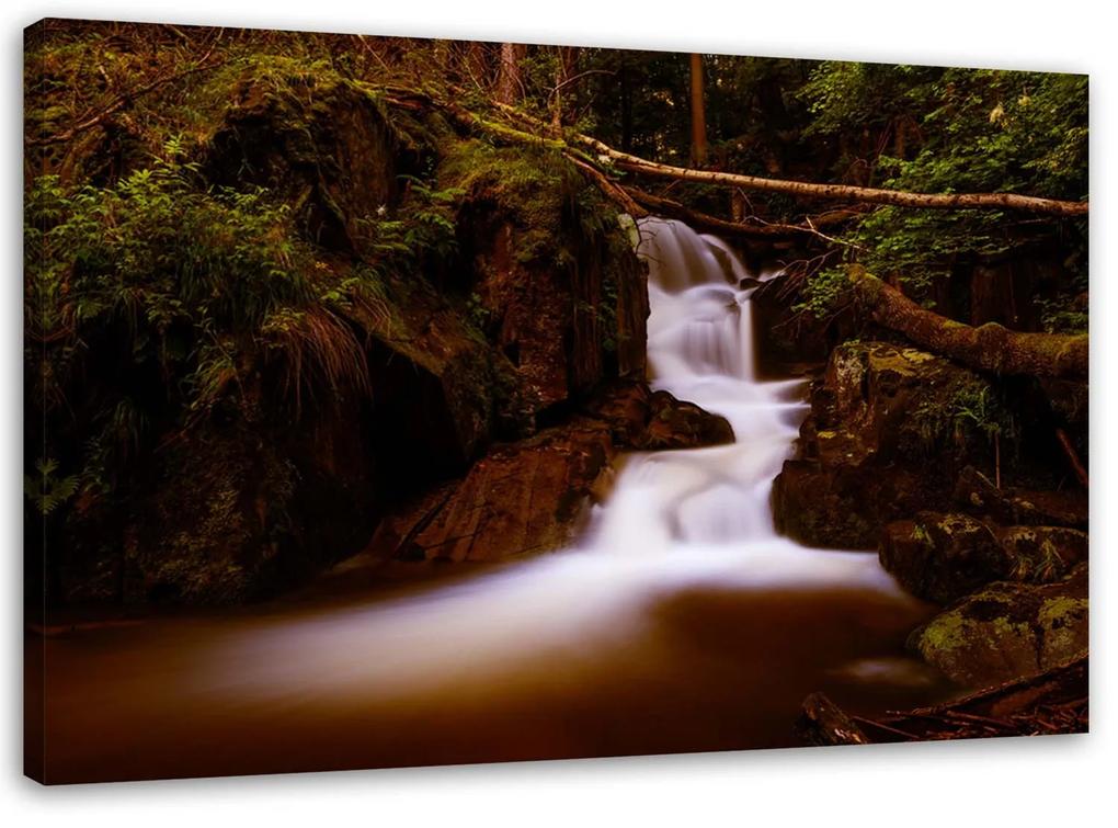 Gario Obraz na plátne Rozprávkový vodopád Rozmery: 60 x 40 cm