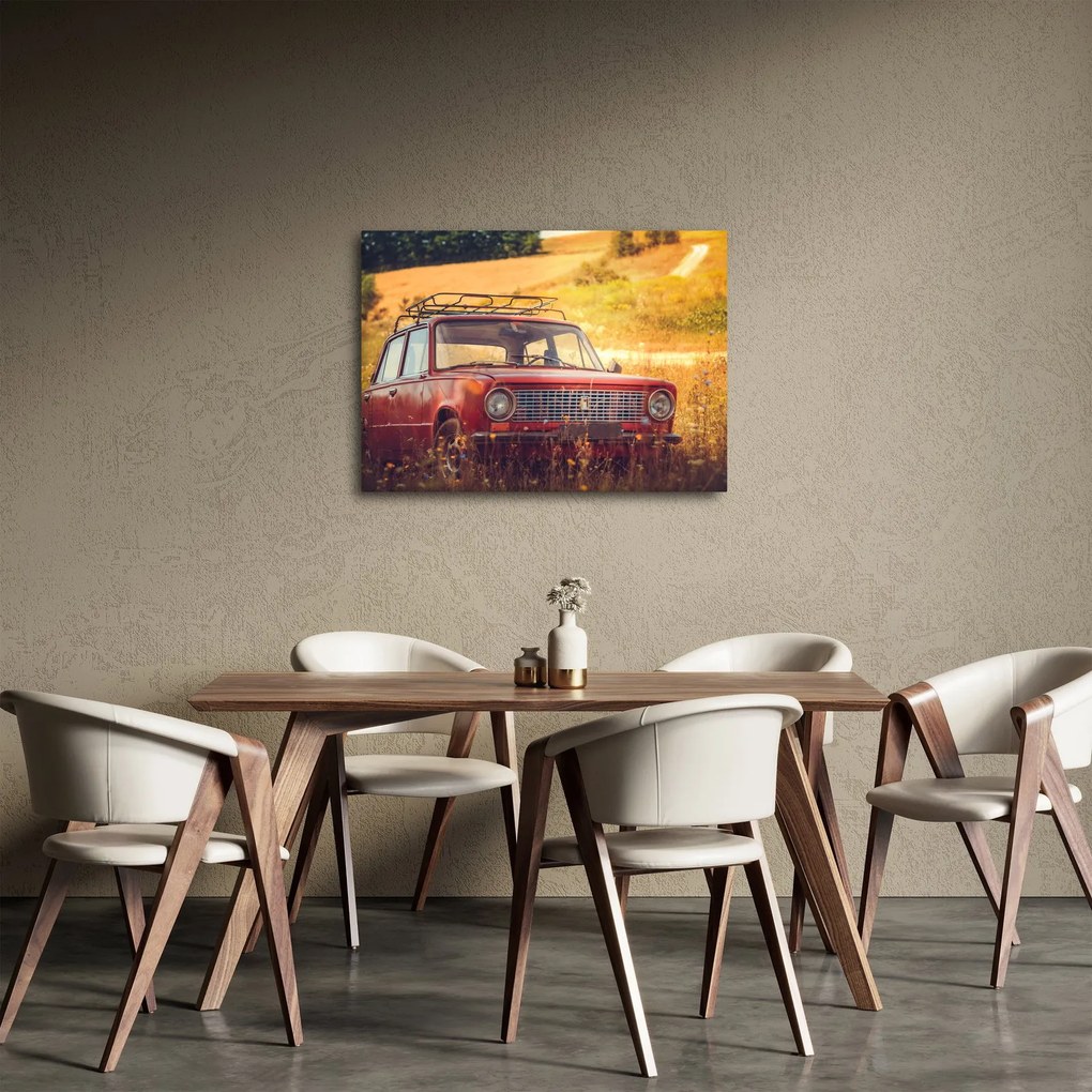 Obraz auta v poli (70x50 cm)