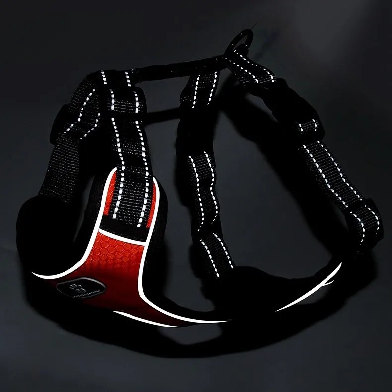 Postroj pre psov ASTRO S oranžový