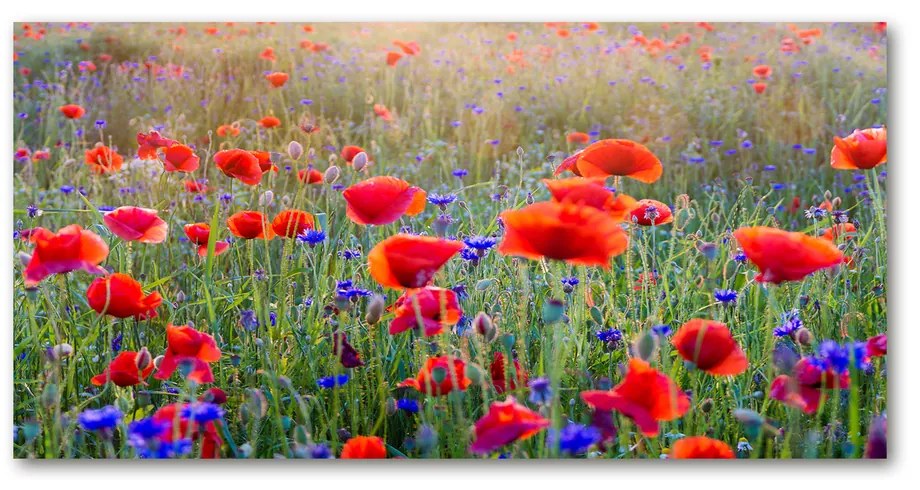Foto obraz akrylový na stenu Plolne kvety pl-oa-140x70-f-65959167