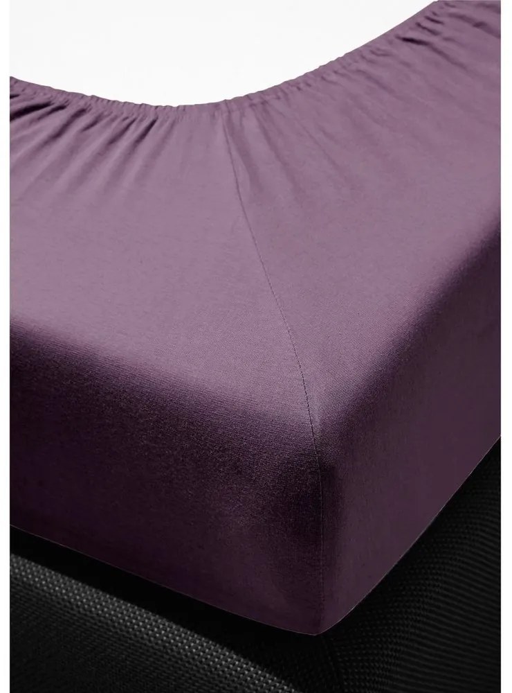 Bierbaum jersey plachta fialová - 180-200 x 200 cm