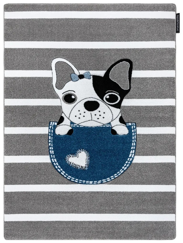 Detský kusový koberec Petit Bulldog grey, 140x190, šedá, detská izba, Dywany Łuszczów