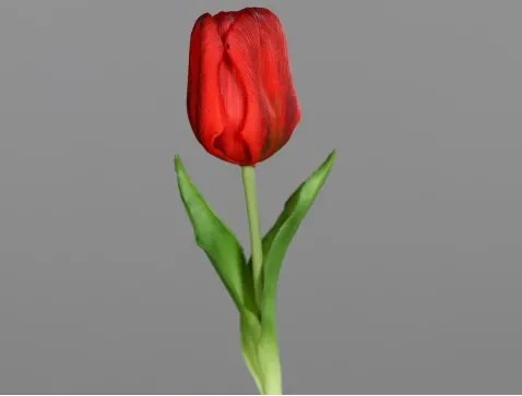 Umelá kvetina Tulipán 20 cm, červená%