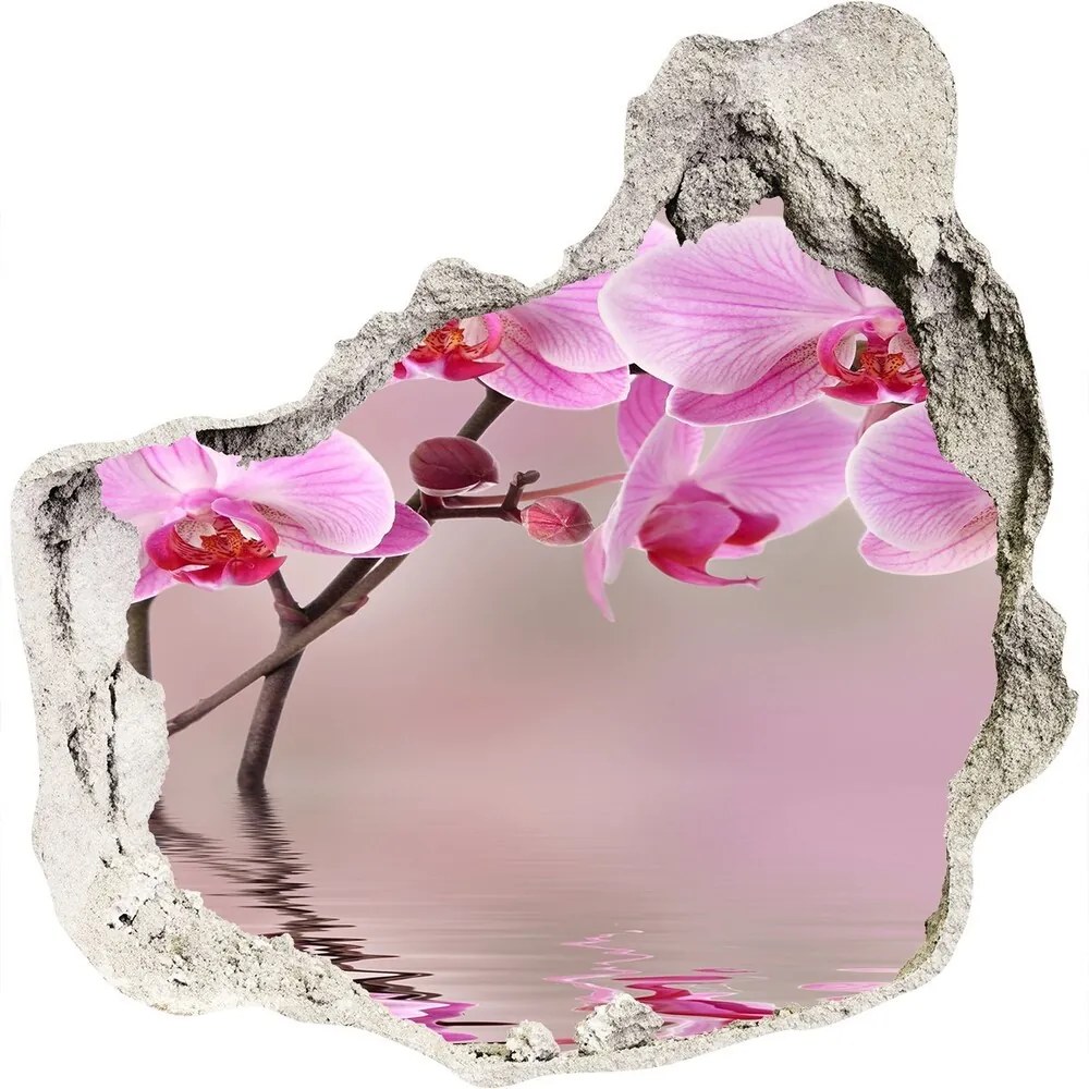 Samolepiaca diera nálepka Ružová orchidea nd-p-79883275