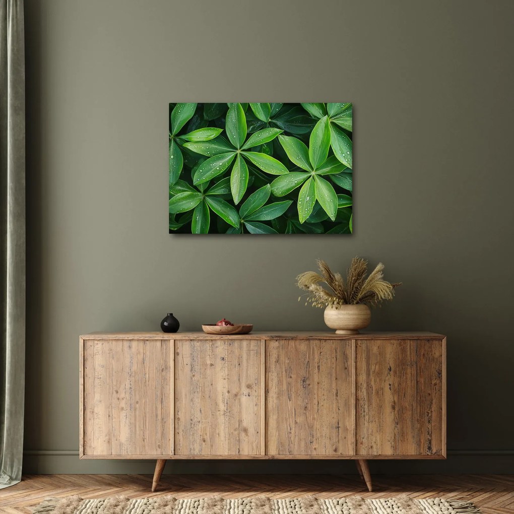 Obraz - Listy s kvapkami rosy (70x50 cm)