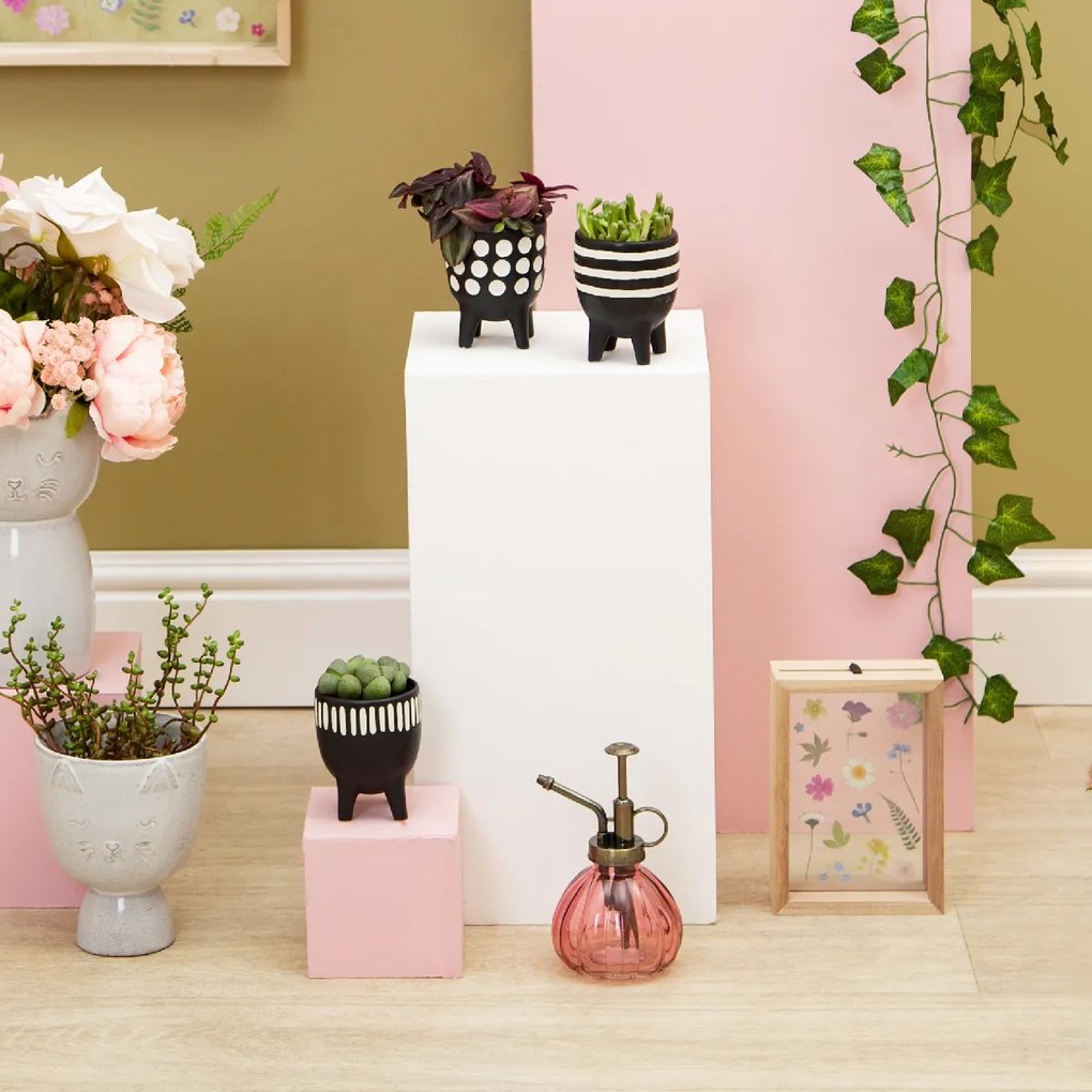 Sass & Belle Mini kvetináče na nožičkách - Set 3 kusov