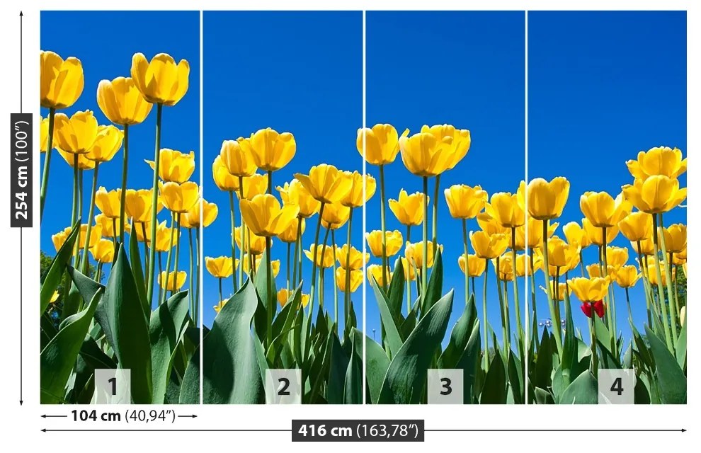 Fototapeta Vliesová Tulipán kvety 250x104 cm