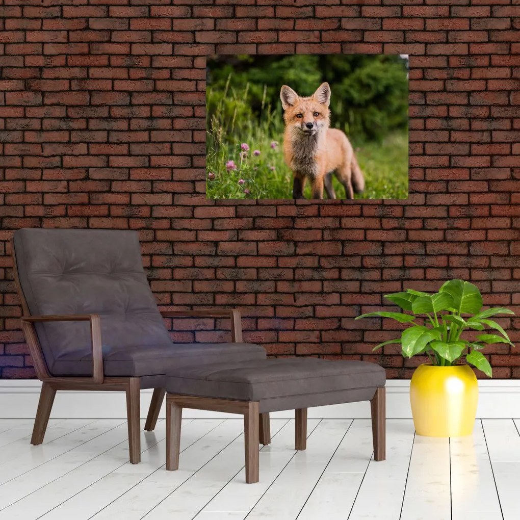 Obraz líšky (70x50 cm)