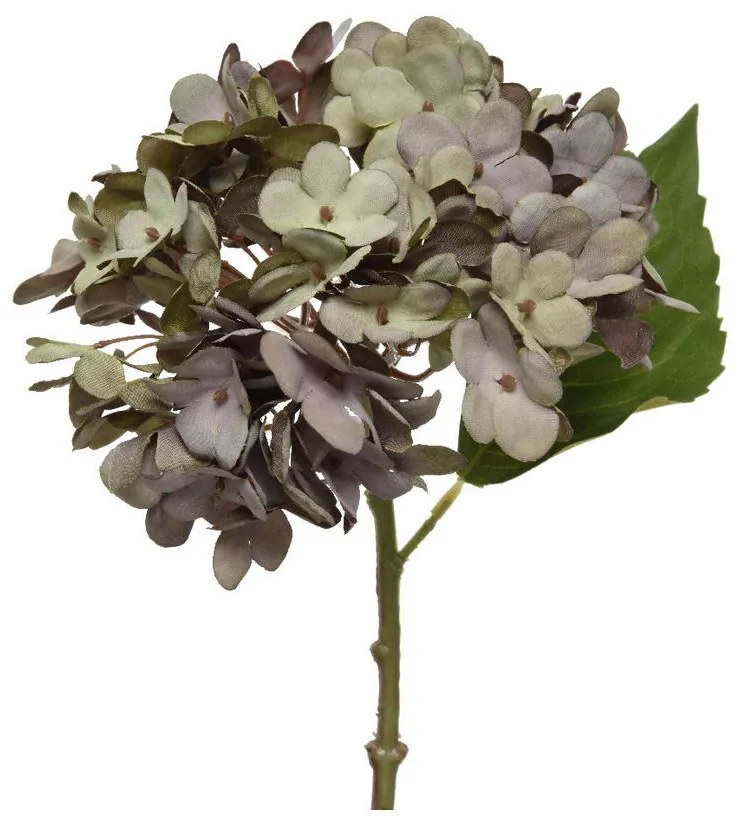 XXXLutz HORTENZIA 35 cm - Kvety & kvetináče - 0037546715
