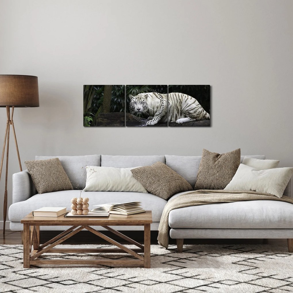 Obraz - Tiger albín (s hodinami) (90x30 cm)