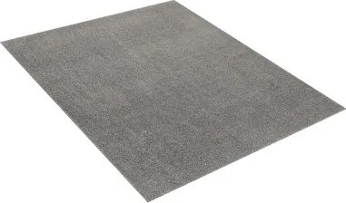 TA Koberec 060 STRIEBORNÝ NOYAN Rozmer: 80x150 cm