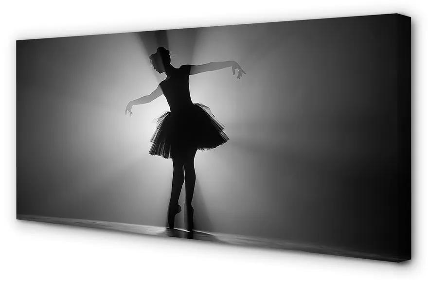 Obraz canvas Baletka sivé pozadie 140x70 cm