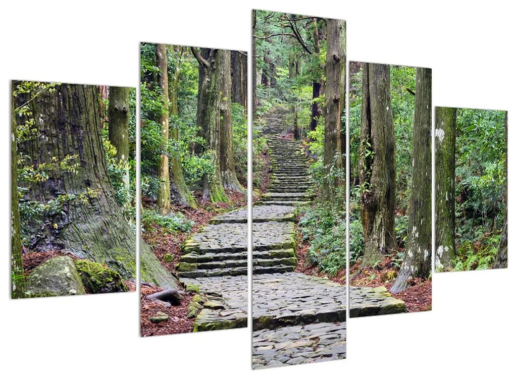 Obraz kamenných schodov v lese (150x105 cm)