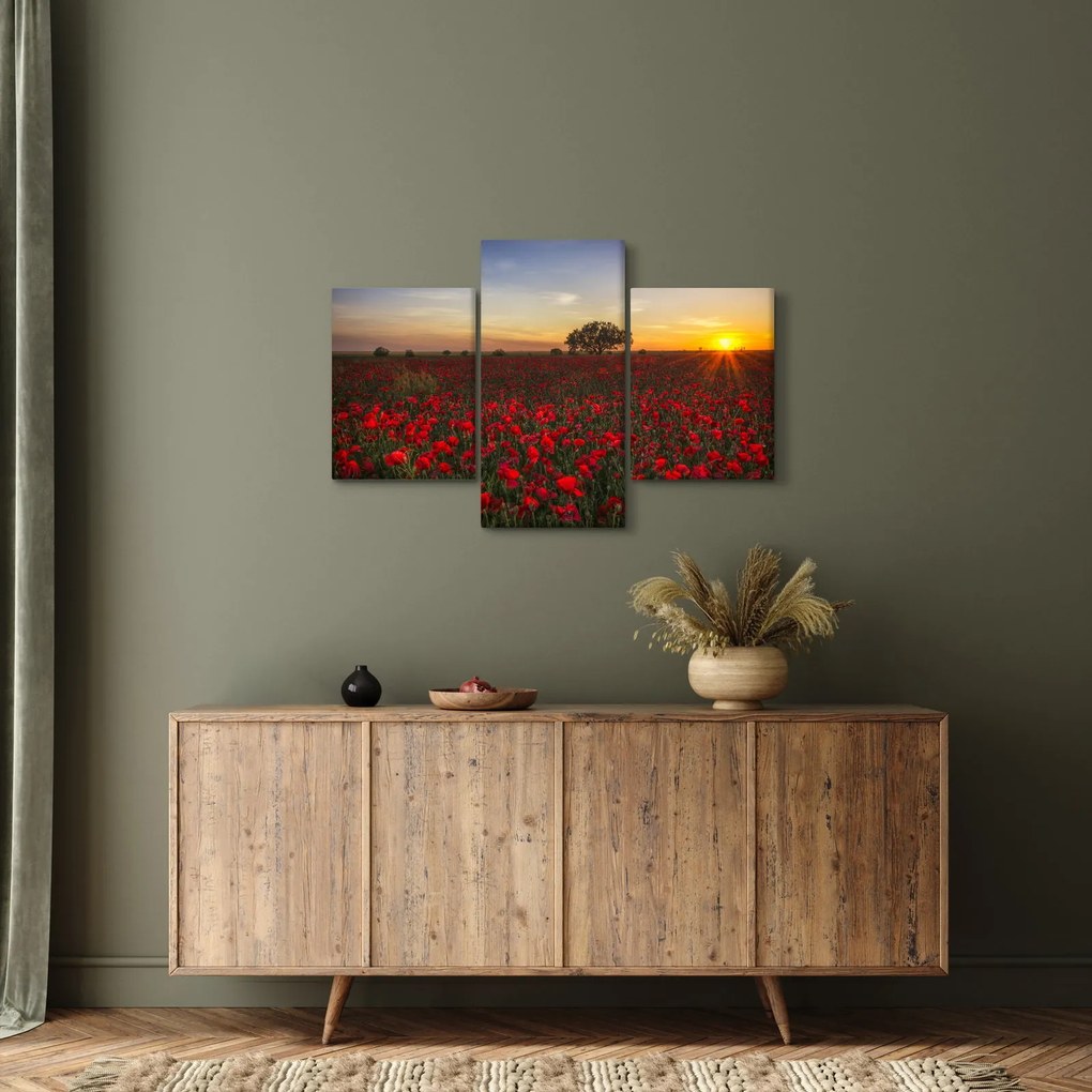 Obraz lúky s vlčími makmi (90x60 cm)