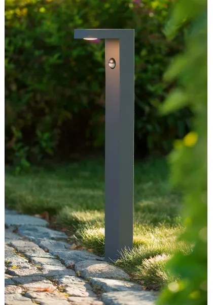 Lucide 28851/61/30 - LED Vonkajšia lampa so senzorom TEXAS LED/7W/230V IP54