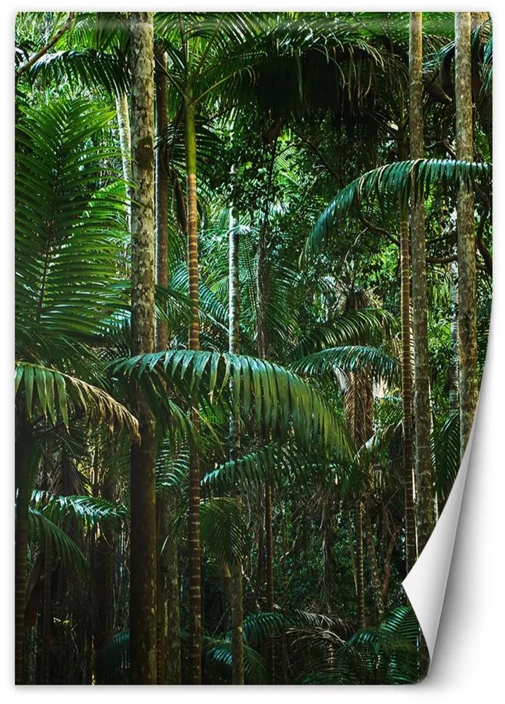 Fototapeta, Tropické stromy na ostrově - 150x210 cm