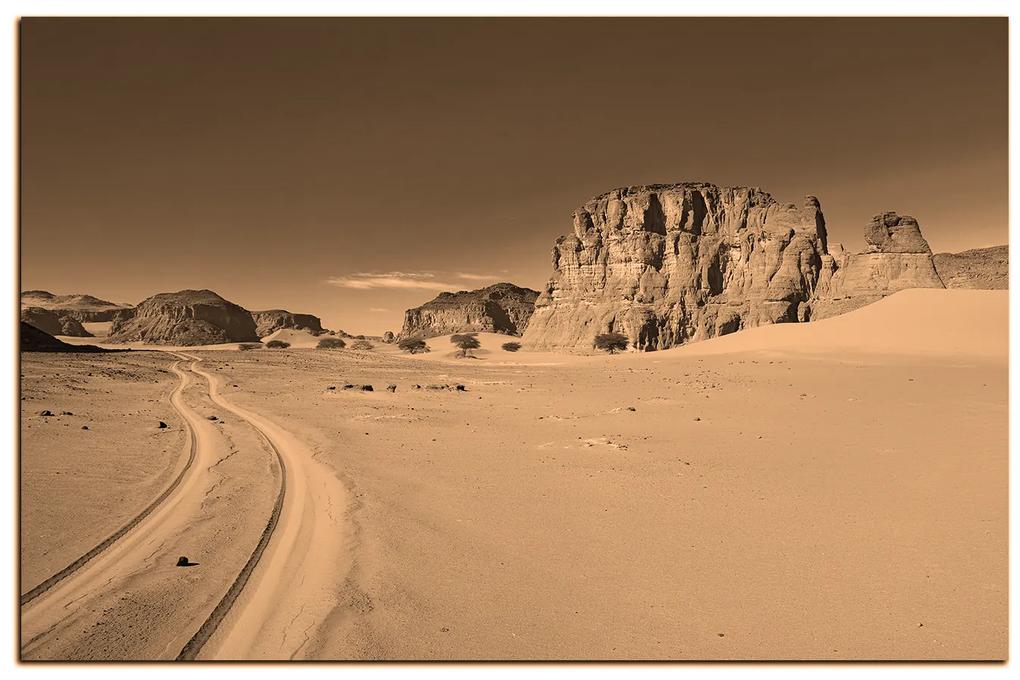 Obraz na plátne - Cesta v púšti 1129FA (75x50 cm)