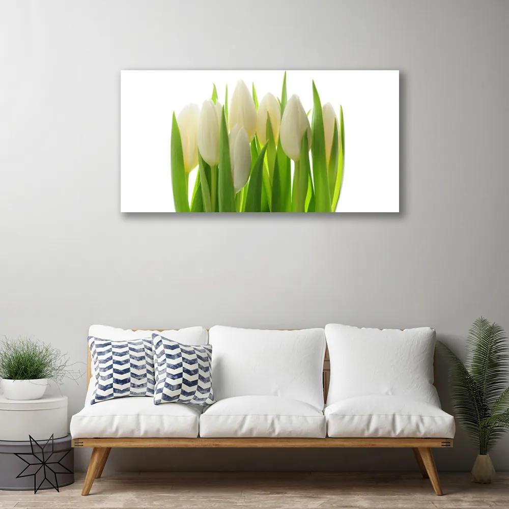 Obraz na plátne Tulipány rastlina príroda 140x70 cm