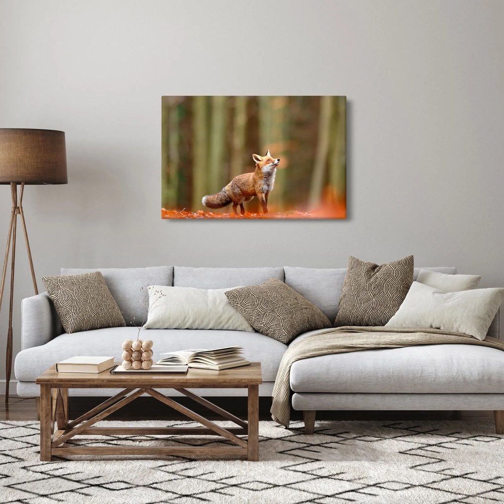 Obraz - Líška (90x60 cm)