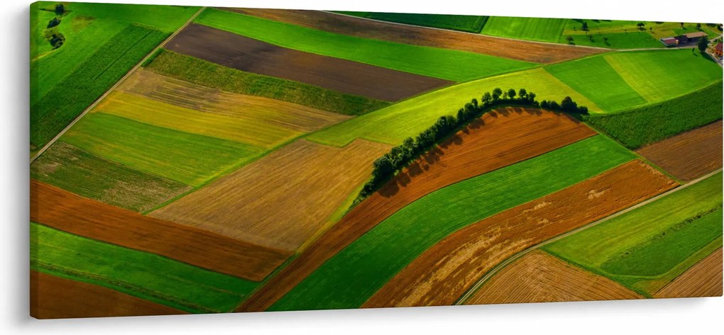 Obraz - Polia, lúky (120x50 cm)
