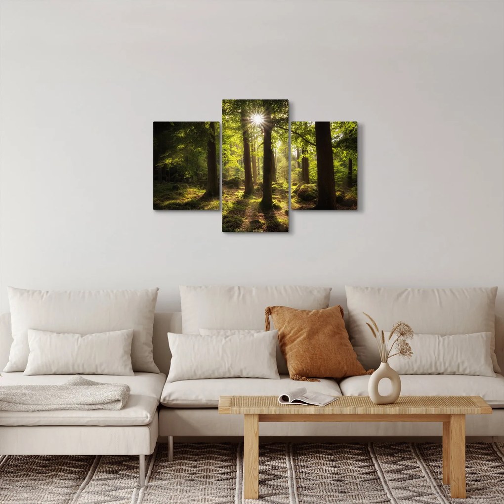 Obraz snového lesa (90x60 cm)