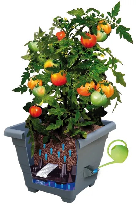 Plastia Kvetináč samozavlažovací Bergamot - 25x25 cm antracit, 25 x 25 cm
