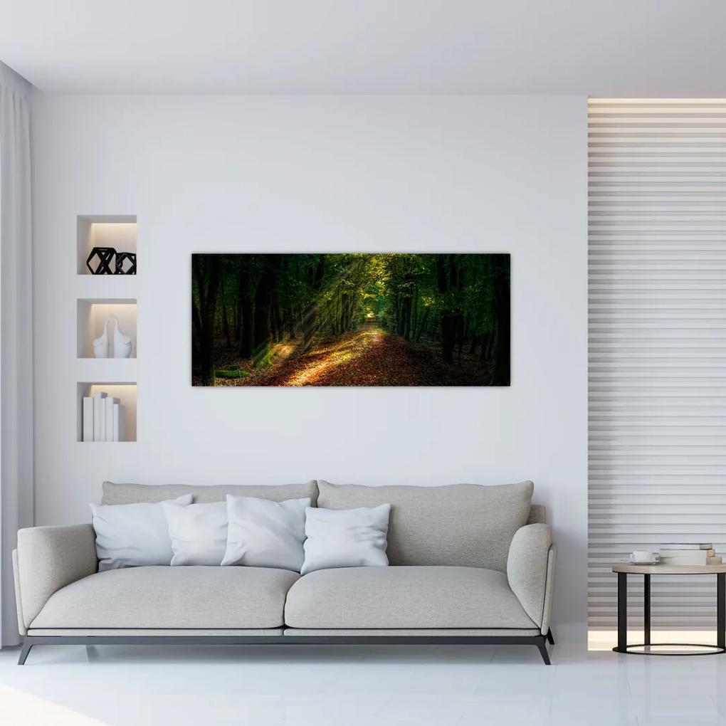 Obraz lesnej cesty (120x50 cm)