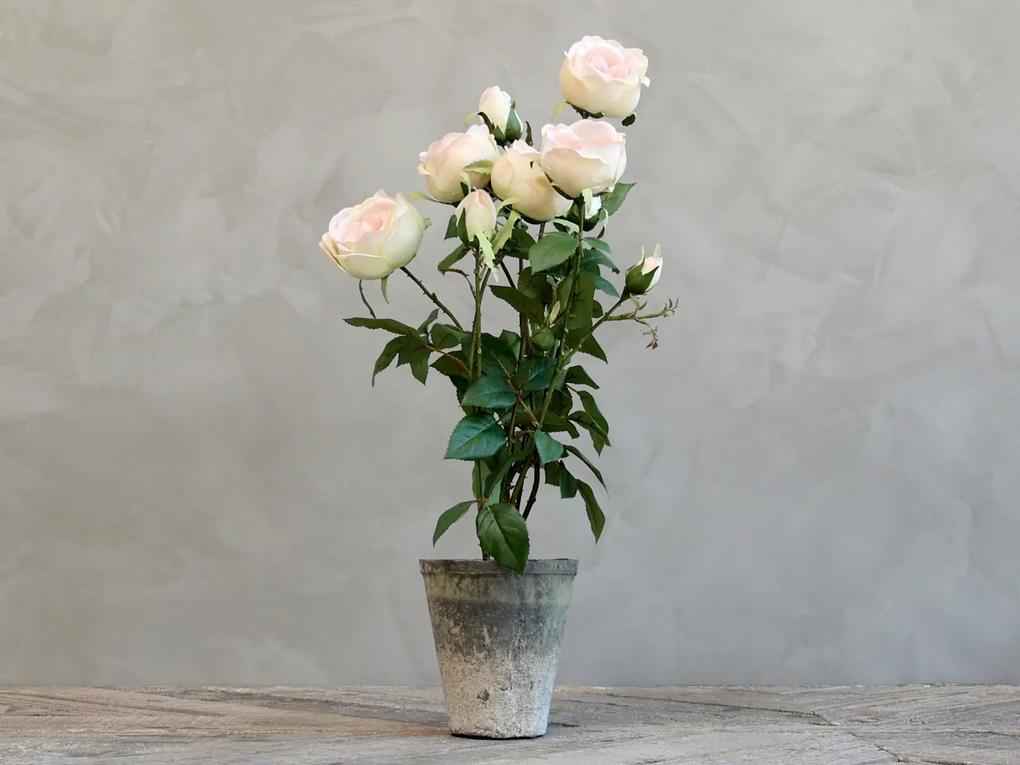 Dekorácie umelá ružová ruža v kvetináči Old - 52 cm